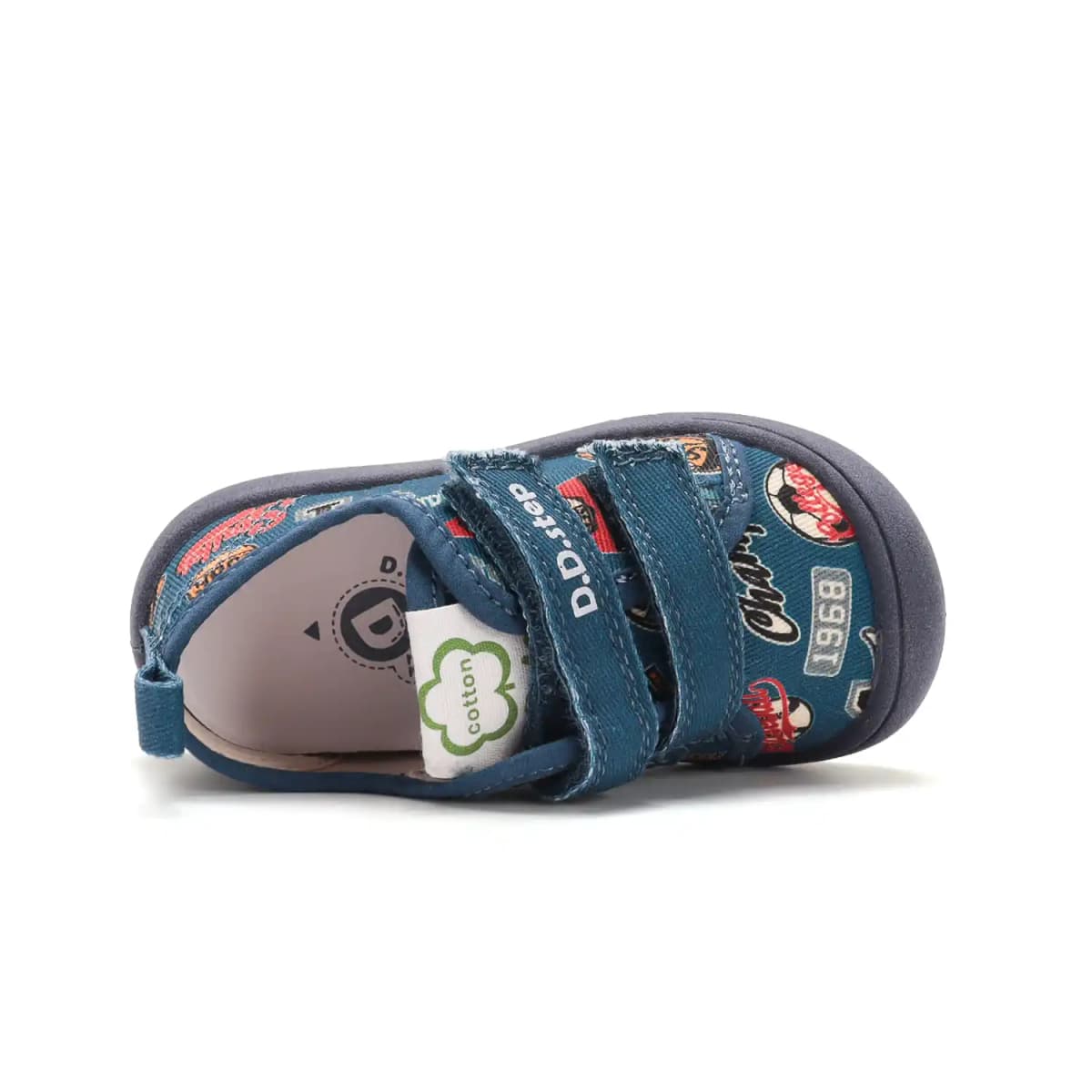 Miniatura 6