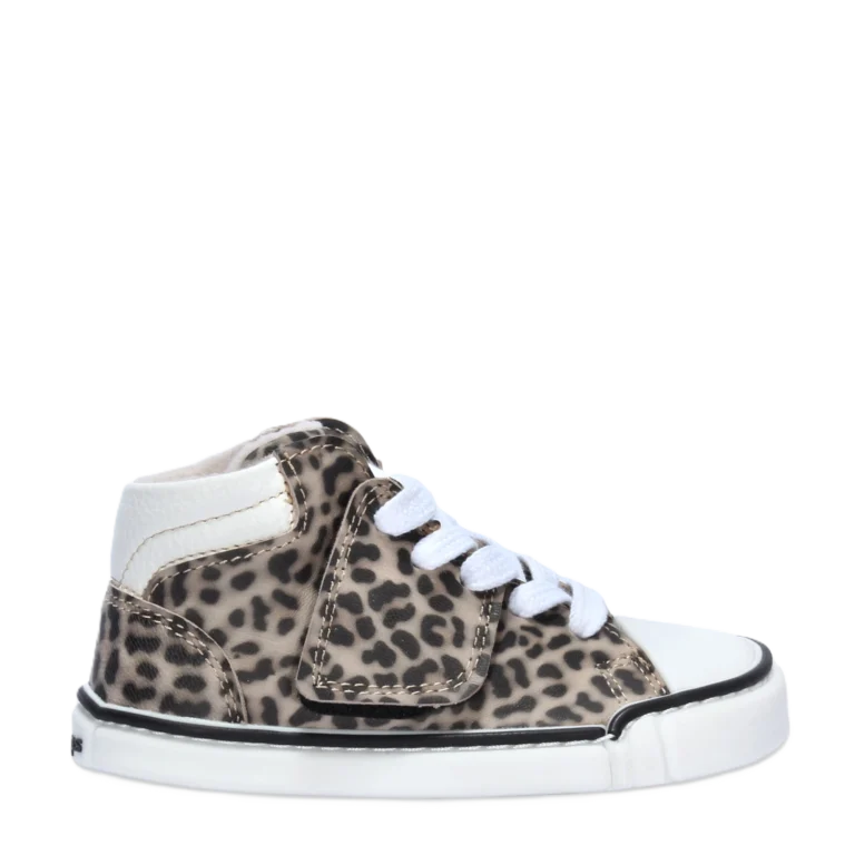 09045675c03f79aadb49f109888893a4